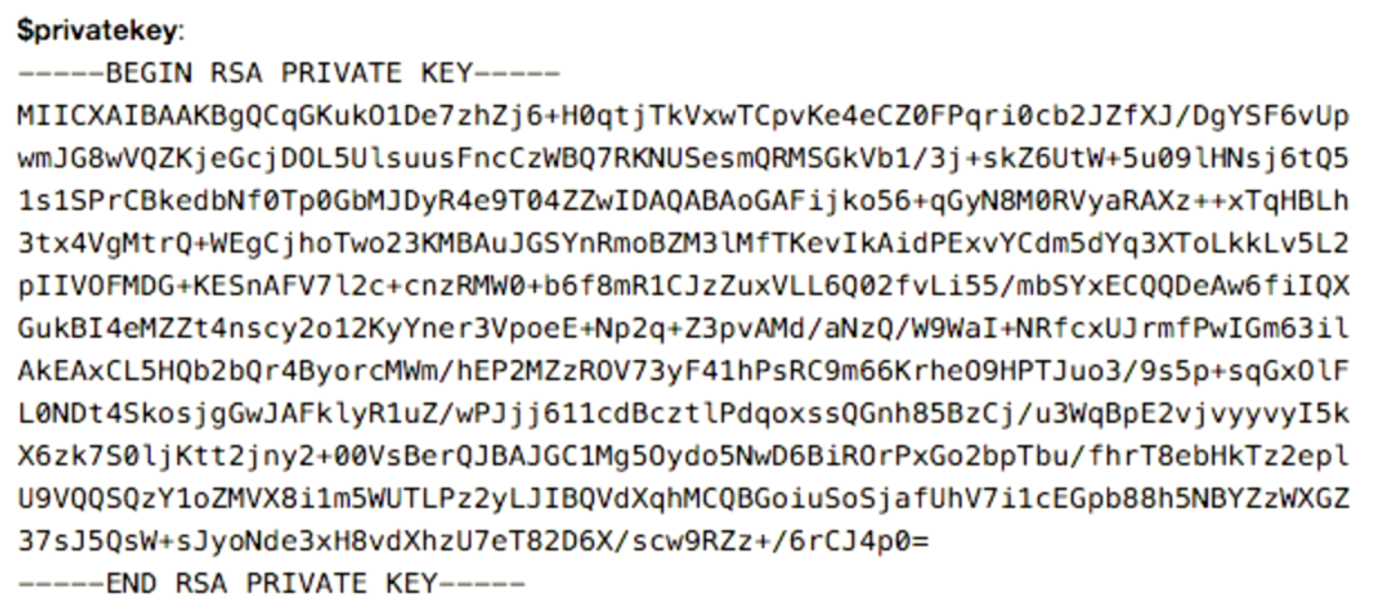 Sample RSA private key